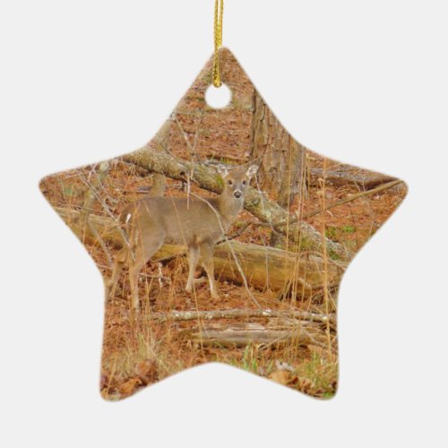 Baby Deers First  winter Ceramic Ornament