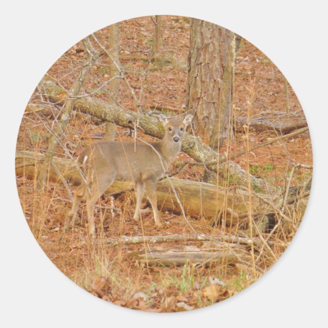 Baby Deer's First  winter Classic Round Sticker (Front)