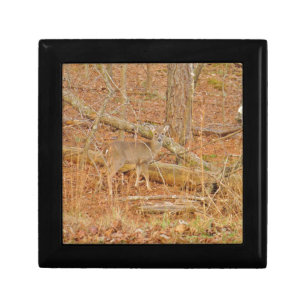 Baby Deer's First  winter Keepsake Box