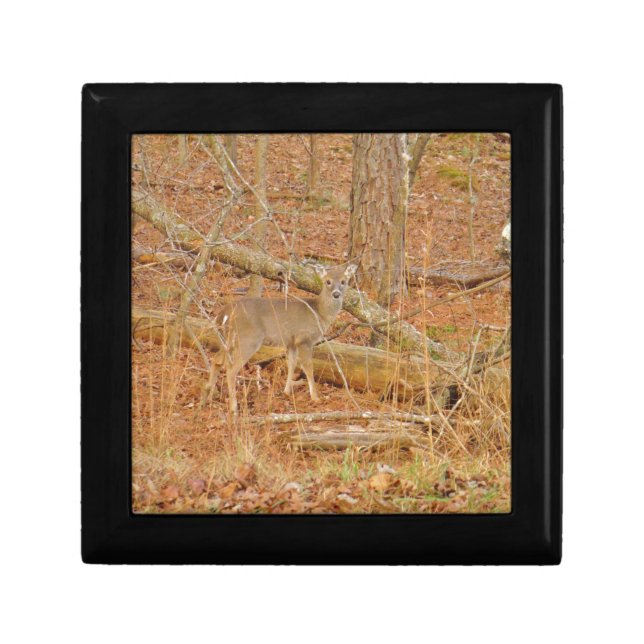 Baby Deer's First  winter Keepsake Box (Front)