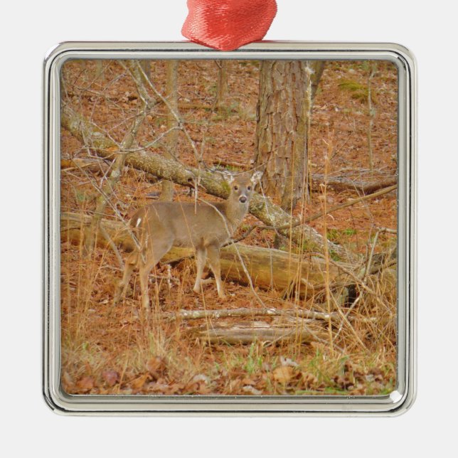Baby Deer's First  winter Metal Ornament (Front)