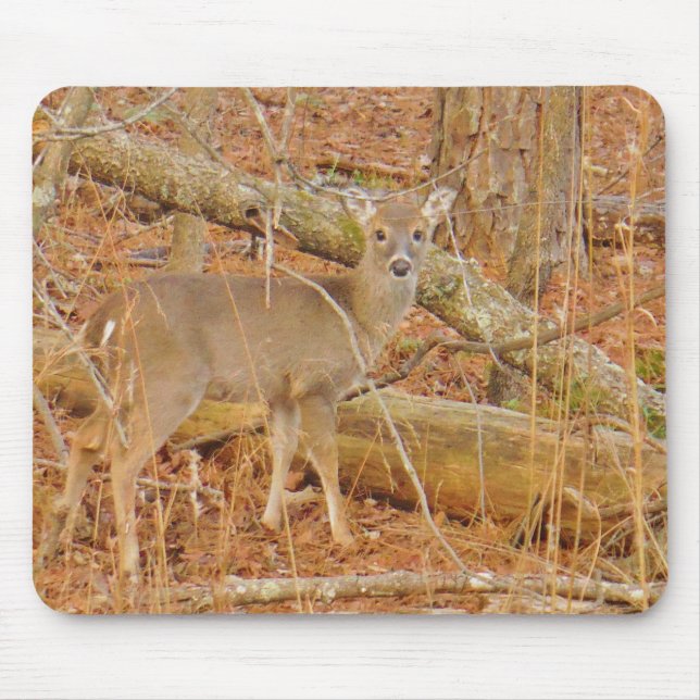 Baby Deer's First  winter Mouse Pad (Front)