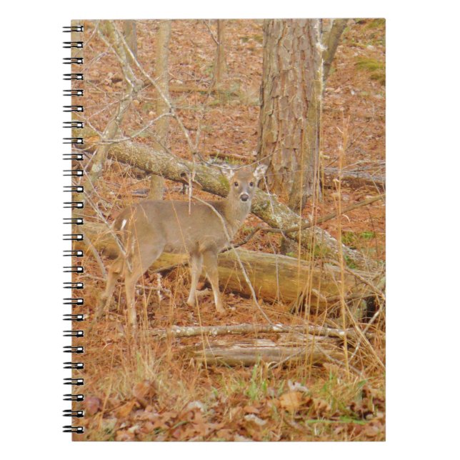 Baby Deer's First  winter Notebook (Front)