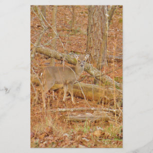 Baby Deer's First  winter Stationery