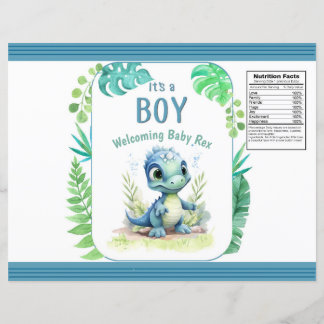 Baby Dinosaur Green and Blue Chip Bag