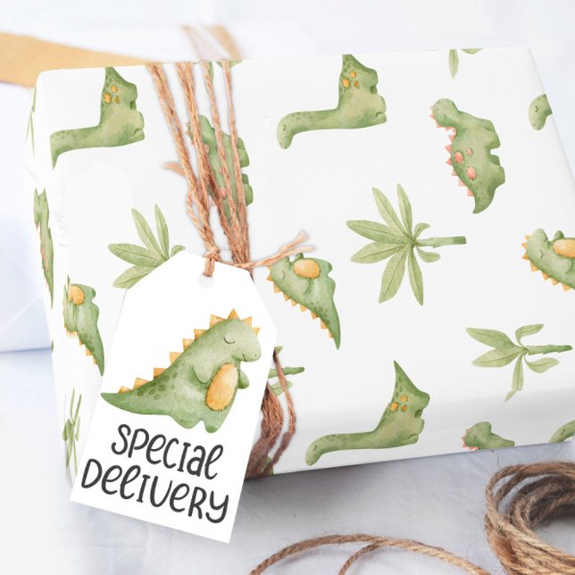 Baby Dinosaur Wrapping Paper (Creator Uploaded)