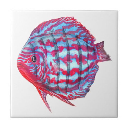 Baby Discus Tile