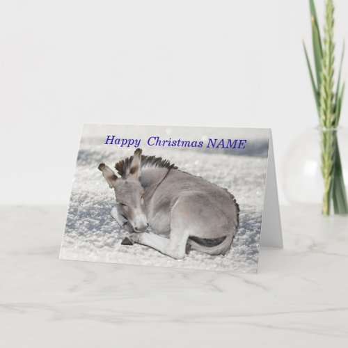 Baby Donkey in the Snow Christmas Card