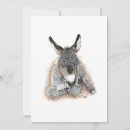 Baby Donkey Note Card