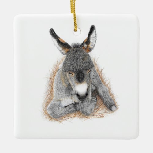Baby Donkey Square Ornament 