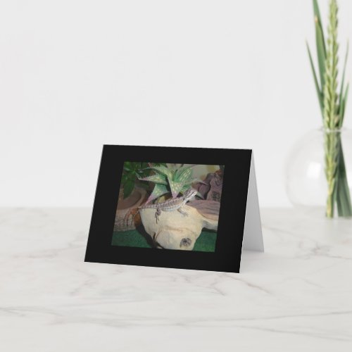 Baby Dragon _ blank notecard