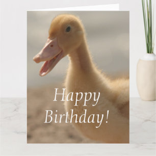 Baby Duck Birthday Big Greeting Card