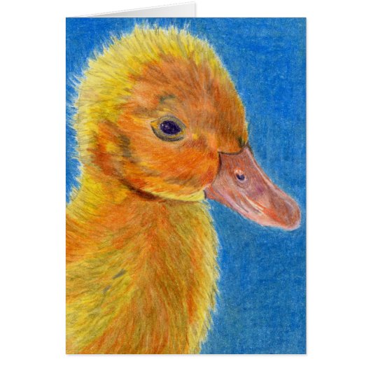 Baby Duck Cards (Front)