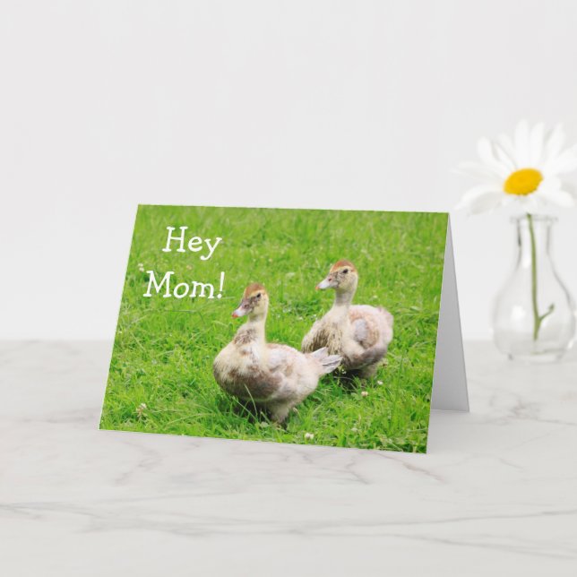 Baby Duck For Mom Birthday Card (Small Plant)