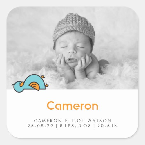 Baby Duck Photo Boy Birth Announcement Sticker