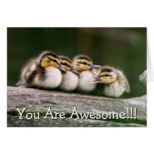 Baby Ducks Cards (Front Horizontal)