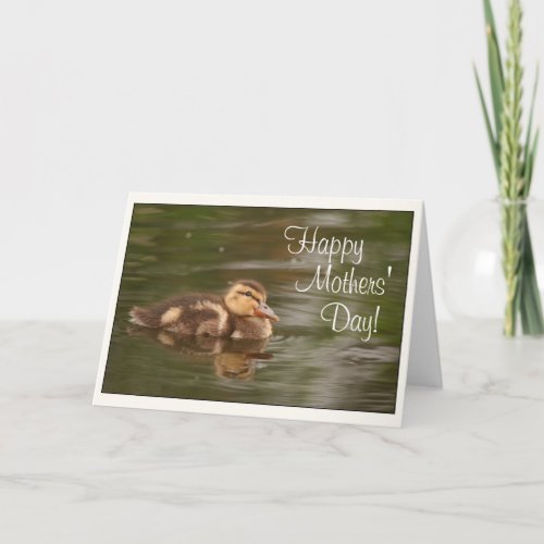 Baby Ducks Ducklings Animals Wildlife Mothers Day Card