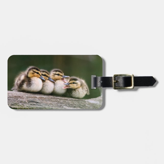 Baby Ducks Luggage Tag (Front Horizontal)