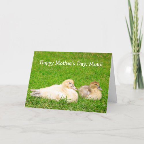 Baby Ducks Mothers Day Holiday Card