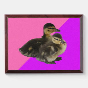 Baby Ducks on Pink Raspberry and Purple Sorbet Award Plaque