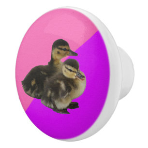 Baby Ducks on Pink Raspberry and Purple Sorbet Ceramic Knob
