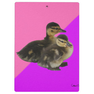 Baby Ducks on Pink Raspberry and Purple Sorbet Clipboard