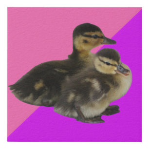 Baby Ducks on Pink Raspberry and Purple Sorbet Faux Canvas Print