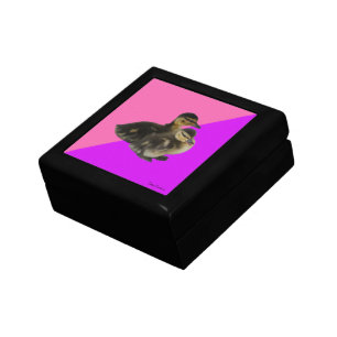 Baby Ducks on Pink Raspberry and Purple Sorbet Gift Box