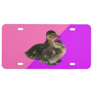 Baby Ducks on Pink Raspberry and Purple Sorbet License Plate