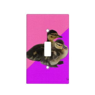 Baby Ducks on Pink Raspberry and Purple Sorbet Light Switch Cover