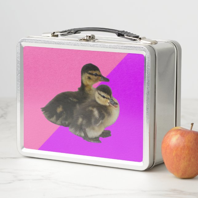 Baby Ducks on Pink Raspberry and Purple Sorbet Metal Lunch Box (In Situ)