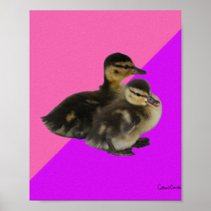 Baby Ducks on Pink Raspberry and Purple Sorbet Poster