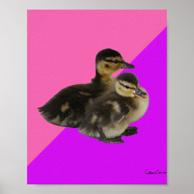 Baby Ducks on Pink Raspberry and Purple Sorbet  Poster (Front)
