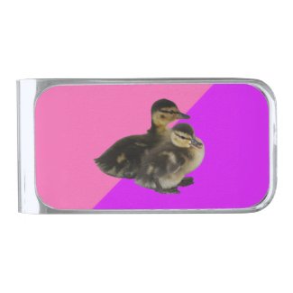 Baby Ducks on Pink Raspberry and Purple Sorbet