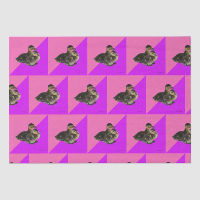 Baby Ducks on Pink Raspberry and Purple Sorbet Tissue Paper (Front)