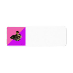 Baby Ducks on Raspberry/Purple Sorbet PERSONALIZE Label