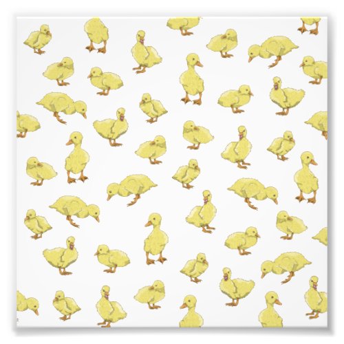 Baby Ducks pattern Photo Print