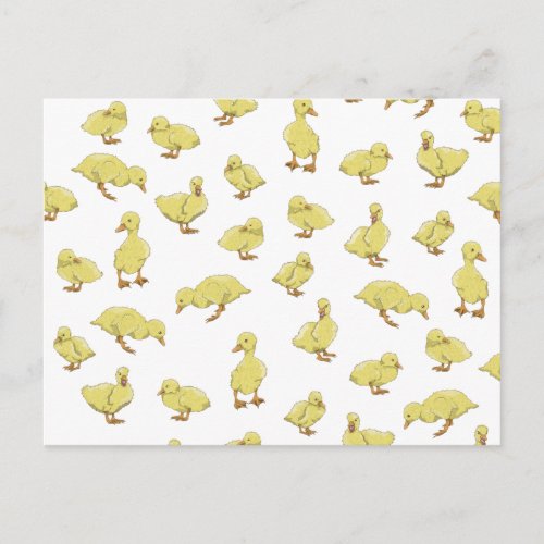 Baby Ducks pattern Postcard