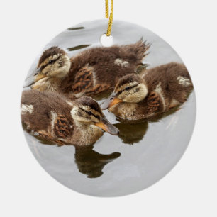 Baby Ducks Photo Ceramic Ornament
