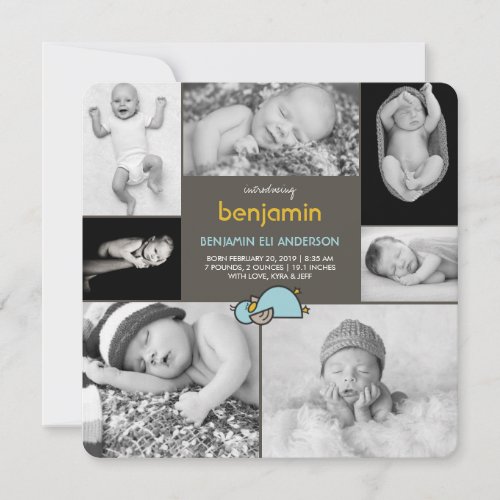 Baby Ducks Photo Collage Boy Birth Announcement
