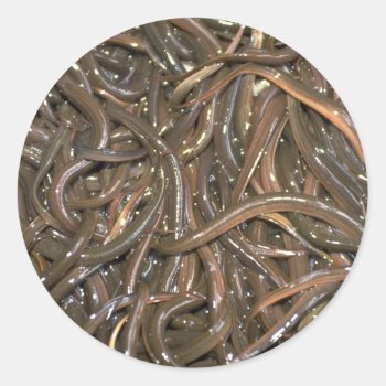 Baby Eels Classic Round Sticker by inspirelove at Zazzle