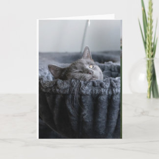 Baby El Card