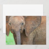Baby elephant (Front/Back)