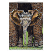 Baby Elephant (Front)