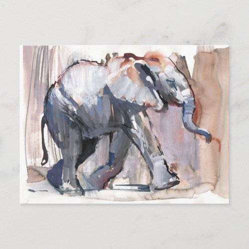 Baby elephant 2012 postcard