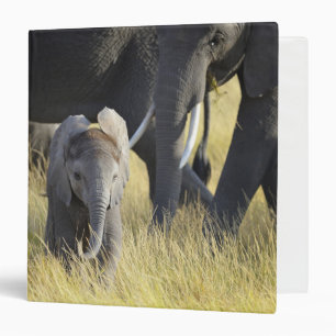 Baby Elephant 3 Ring Binder