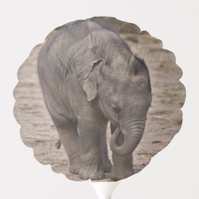 Baby Elephant Balloon (Front)