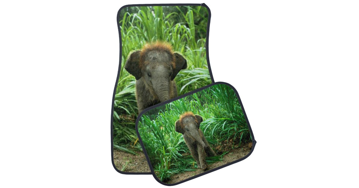 Baby Elephant Car Floor Mat Zazzle