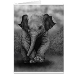 Baby Elephant Cards