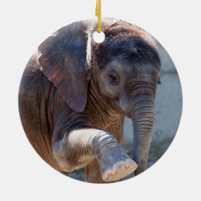 Baby Elephant Ceramic Ornament (Back)